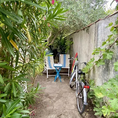 House Retaise With Garden Close To The Sea Feriehus La Couarde-sur-Mer